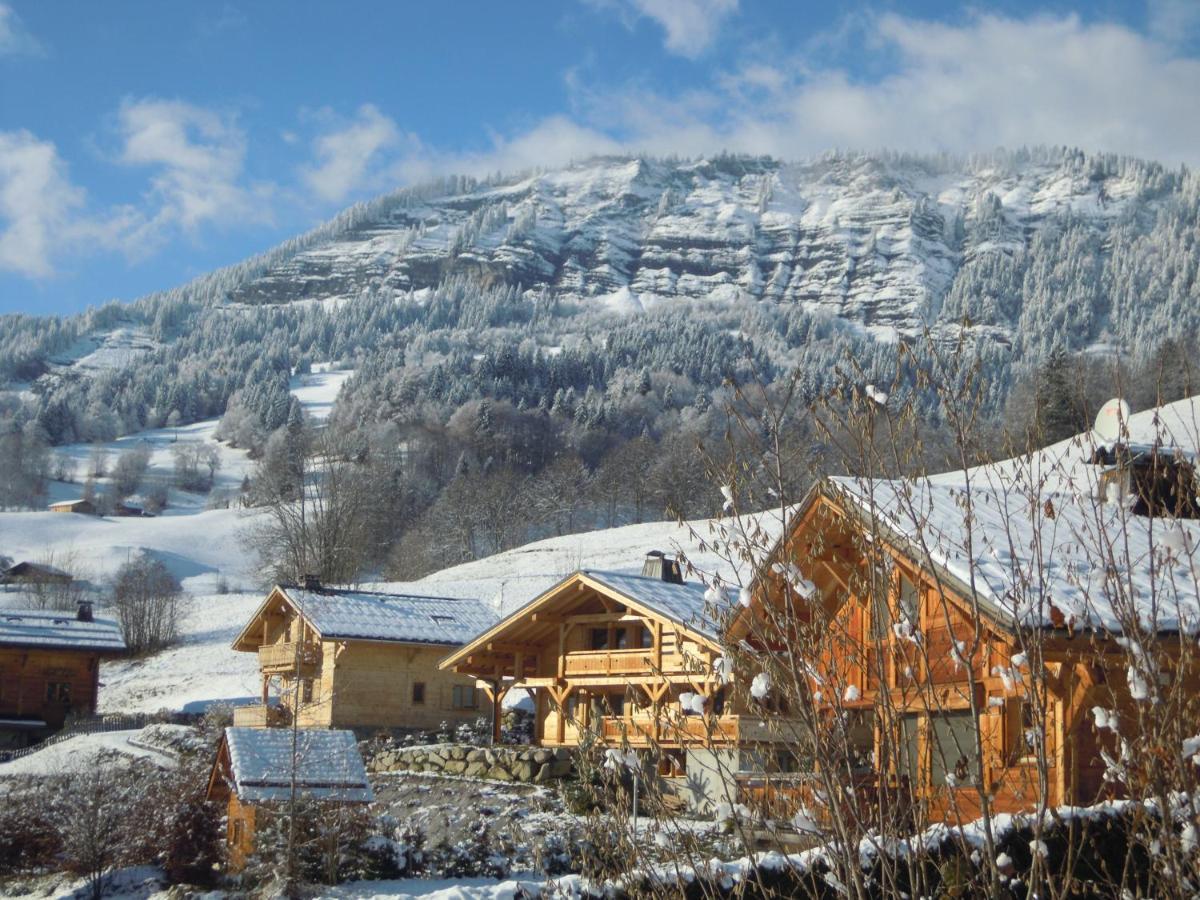 A4 Km De Megeve Tres Joli Studio Avec Jacuzzi ,Vue Sur Les Montagnes Au Calme Praz-sur-Arly Exterior photo
